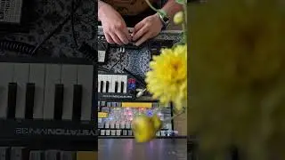 sonicake korg stylophone thunder ⚡️ #jam #synth #learntojam
