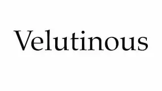 How to Pronounce Velutinous