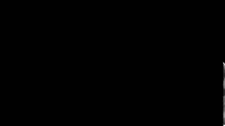 Halphinale