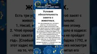 Условия обязательность закята с животных.