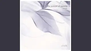 broken people
