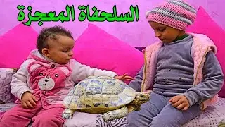السلحفاة والصغيرة😱