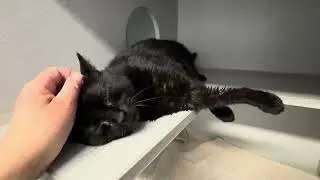 Bella245594, я обожаю эту замечательную даму❤️🌹❤️