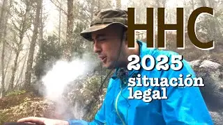Situaci&oacute;n legal del HHC en Espa&ntilde;a y Latinoam&eacute;rica 2025🪴
