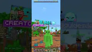 Dieser SERVER beantwortet die Minecraft Java oder Bedrock Frage!