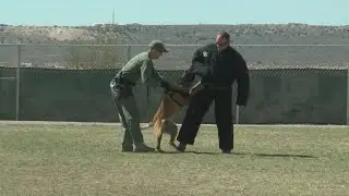 LAWSUIT: Connecticut woman alleges Rio Rancho Police dog attacks her at an airport
