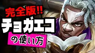 チョガスエコーの使い方【TFTを覚えたいときに見る動画inセット16】