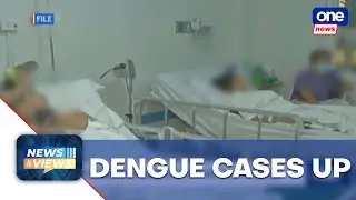 Dengue management in Philippines shows little improvement after 70 years - expert | News and Views