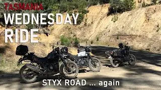 Wednesday Ride Tasmania - Styx Big Trees again