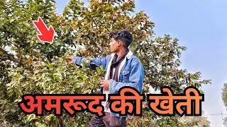 🌾 – गाँव की असली ज़िंदगी | Kumar Sunil Vlogs |