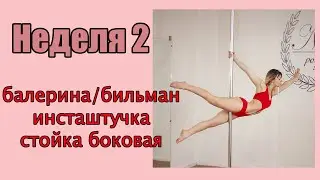 Pole dance для начинающих и продолжающих, тренировка 2 начинающий уровень