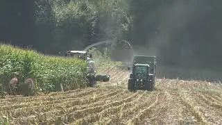 Maishäckseln 2019 mit Class Jaguar 970 und Claas ORBIS 750  mit Fendt Traktoren und von zwei  Lohnun