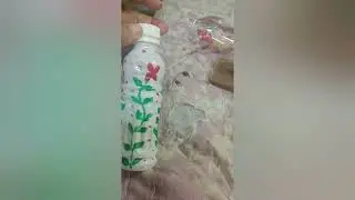 Art#Waste bottle#colour#reuse