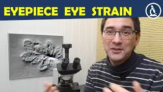 🔬 Preventing eyestrain when looking through microscopes | Amateur Microscopy