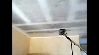 Garage mould clean