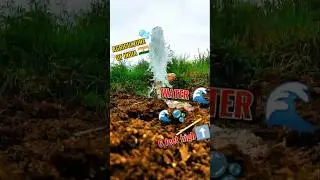 Farmer success story|Farming income|Natural farming|Zero budget farming|Modern farming