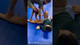 Leg Pins Sequences