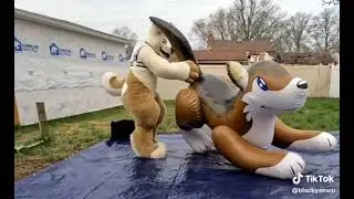 Loud Inflatable Puffypaws Wolf Sit Pop In Japan Again Wakko From (Canfurence/Eurofurence)