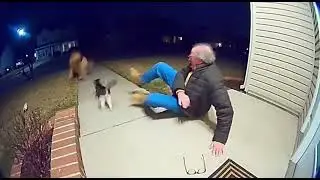Cats aren&rsquo;t cold&hellip; they&rsquo;re protective.