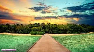 Music Relax Chinese|  Reggae Asian Fusion Music | Tea Roots | Sleep, Study, Relax, Meditation