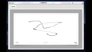 WebDirect signature capture