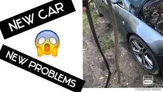 New car timing belt issues