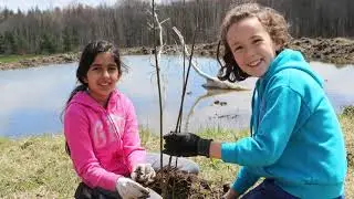 City of Woodstock Parks Department - Community Award, UTRCA Conservation Awards 2024