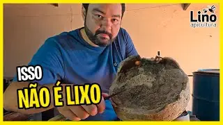 Essa “farofa” NÃO é lixo: você pode estar jogando cera (e dinheiro) fora
