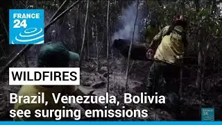 Brazil, Venezuela, Bolivia see surging wildfire emissions &bull; FRANCE 24 English