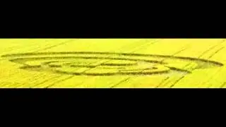 Crop circles 2013 - Cava Manara, Pavia, Italy - 8 June 2013