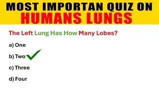 Top 50 MCQs About Human Lungs | Very Important Quiz on Human Lungs