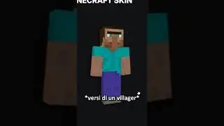 Ho cercato le SKIN pi&ugrave; DIVERTENTI di Minecraft...