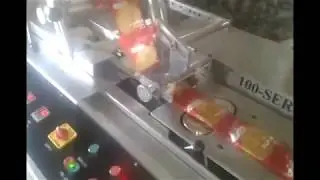 Papad packing Flow Wrap Machine