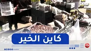 تمنراست / وفرة في التمور بمختلف الأنواع بأسعار معقولة قبل شهر رمضان