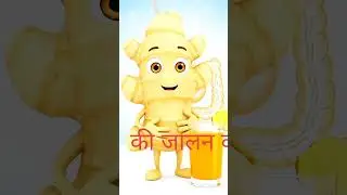 Adrak Ke Ye Fayde Aap Nahi Jaante 😱 | Talking Ginger | Urdu Shorts