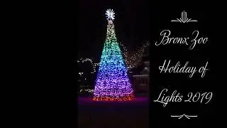 Bronx Zoo Holiday of Lights 2019 Christmas Tree Light Show!