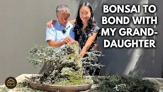 Beginner Bonsai: Refining a Chinese Elm with Granddaughter to Share My Values