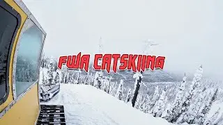 Cat Boarding in Fernie!
