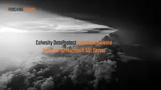 Cohesity DataProtect Application Aware Services for Microsoft SQL Server