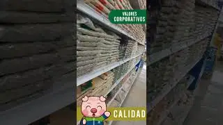 MegaTienda del Sur