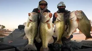 Braving FREEZING temps for Double Digit Bass (another 36bag) #doubledigits #texas #texasbassfishing