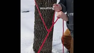 Mechanical Advantage of a Trucker's Hitch? #shorts #knot #rope #physics #quiz #paracord