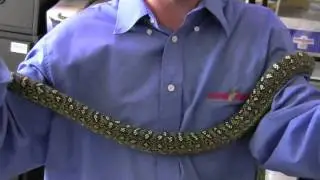 How to discover the sex of a snake