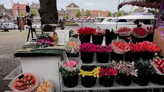 Roel neemt een kijkje - Vestingdagen 2.0 - Impressie zaterdagmiddag / Hellevoetsluis 2025