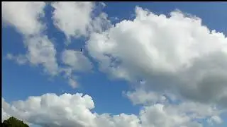 Christen Eagle II 90 maiden flight