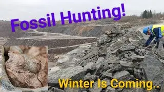 Fossil Hunting In Mid Winter! #fossilhunting, #trilobites 