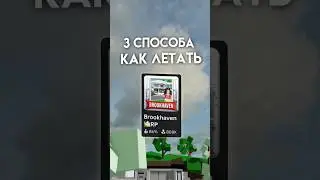 Как летать в Brookaven RP🏡//#fyp #pyf #elbruso #follow #роблокс #roblox #полезное #помощь #мифы