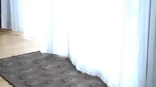 So macht Hundesitting Spa&szlig;