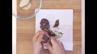 Filet de lieu noir topinambour et panais pour Bébé - Les Vidéos de Bavoir & Tablier