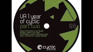 Antony PL- Below The Bassline (Cyclic Records)